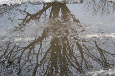 Entry image for Reflection . Clicking this image will show a larger photo