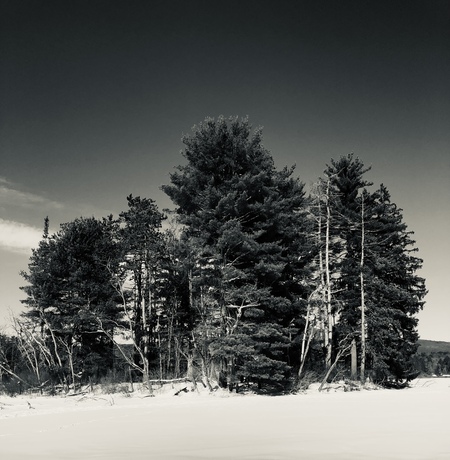 Entry image for Crisp Winter Day . Clicking this image will show a larger photo