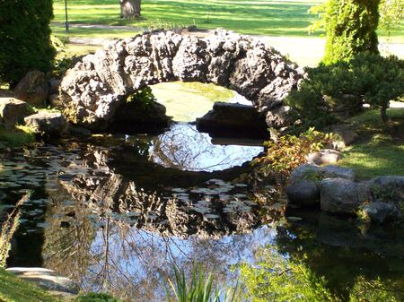 Entry image for Circle of life. Clicking this image will show a larger photo