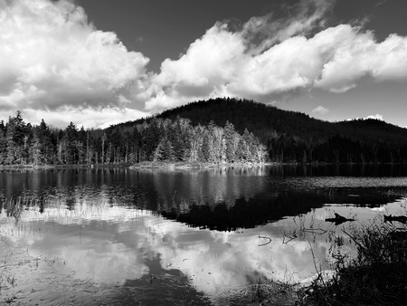 Entry image for Adirondack Pond. Clicking this image will show a larger photo