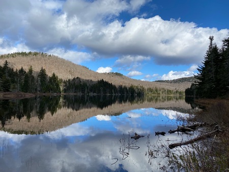 Entry image for Reflection. Clicking this image will show a larger photo