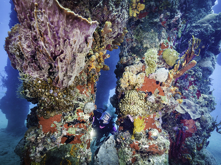 Entry image for Under the Pier. Clicking this image will show a larger photo