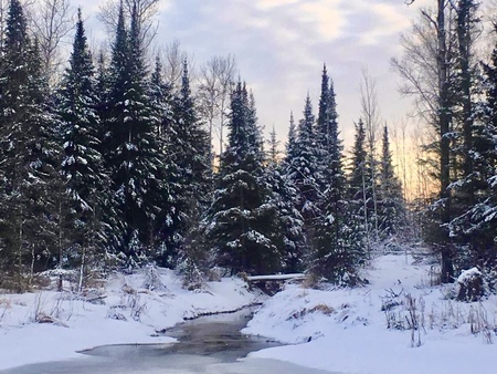 Entry image for Winter Wonderland . Clicking this image will show a larger photo