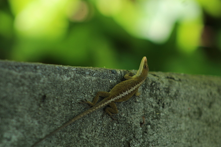 Entry image for Living Life on the Edge. Clicking this image will show a larger photo