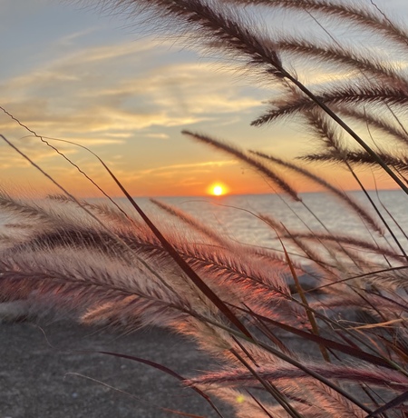 Entry image for Reminisce . Clicking this image will show a larger photo