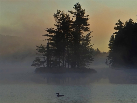 Entry image for Adirondack Dawn Patrol. Clicking this image will show a larger photo