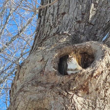 Entry image for Pray for spring. Clicking this image will show a larger photo