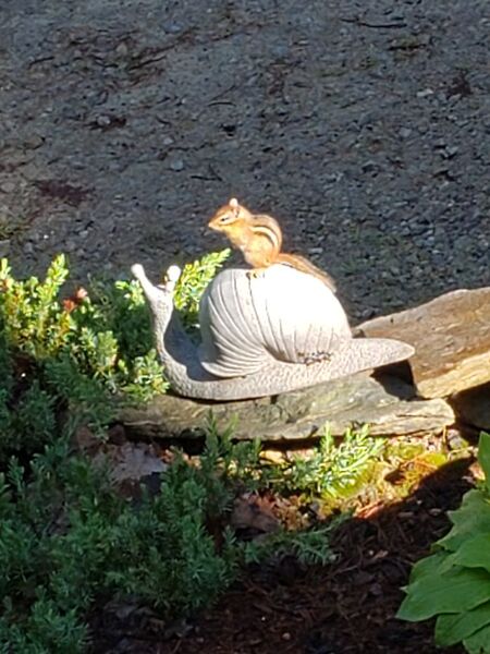 Entry image for Hurry up let's go!. Clicking this image will show a larger photo