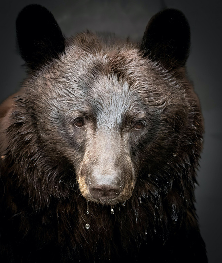 Entry image for Momma. Clicking this image will show a larger photo