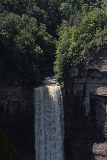 Rushing Waterfall