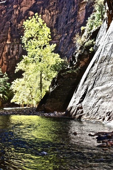 Virgin River/Zion NP