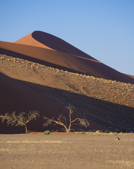 Namibian Shadows