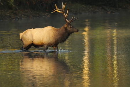 River Crossing