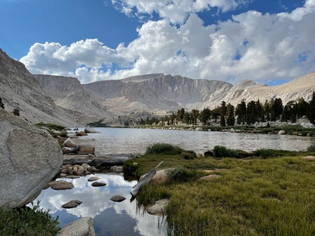 Sierra Nevada Range of Light