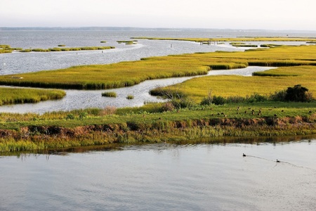 Chesapeake Bay