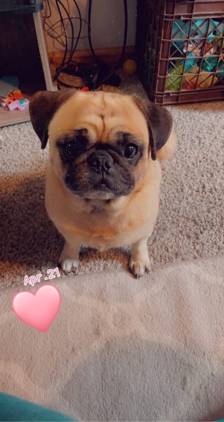 Otto