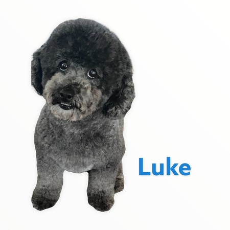 Luke 