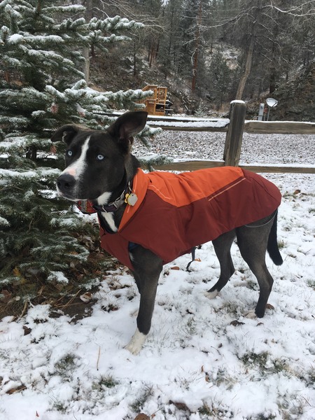 Oskar