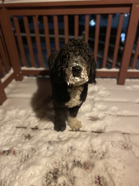 Winnie