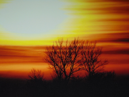 Healing Light
