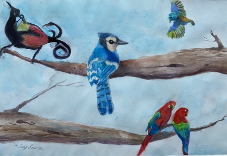 Bird Frenzy