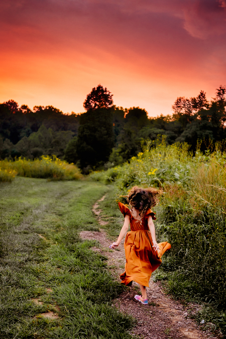 Wild Summer Sunsets