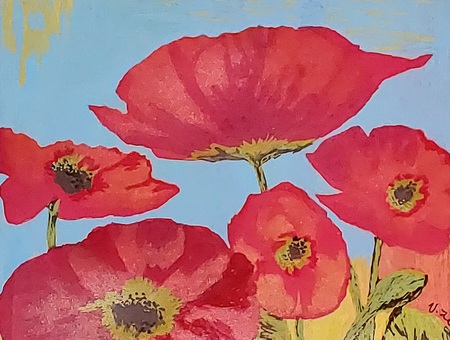 California Poppies