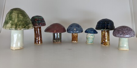 Multicolor Mushrooms