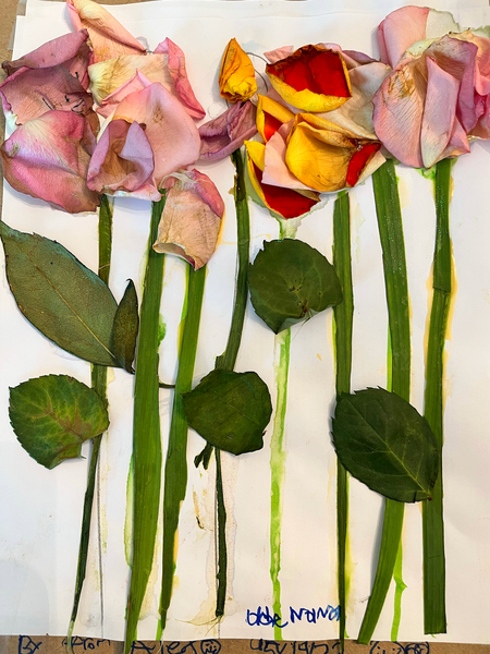 Nana's Flower Garden