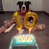 Entry image for Gandhi - MASBR OG!