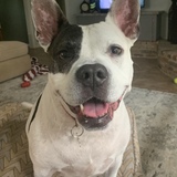 Entry image for Addie