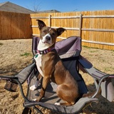 Entry image for Roux