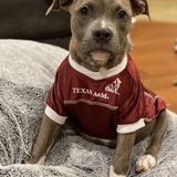 Entry image for Amina Mo