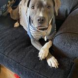 Entry image for Violet 