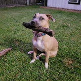 Entry image for Katy Mae