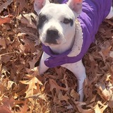 Entry image for BROOKE LYNN