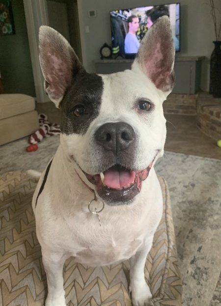 Entry image for Addie. Clicking this image will show a larger photo