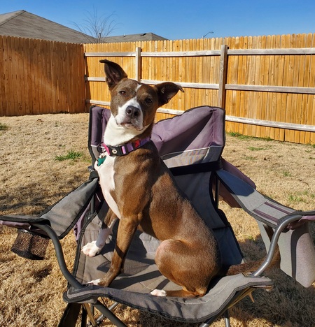 Entry image for Roux. Clicking this image will show a larger photo