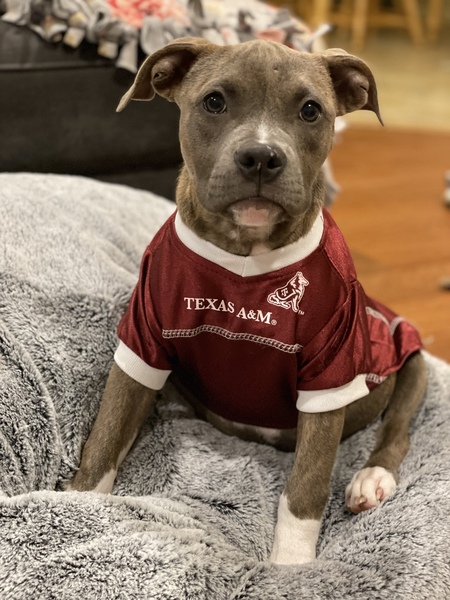 Entry image for Amina Mo. Clicking this image will show a larger photo