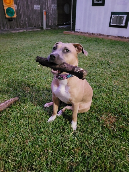 Entry image for Katy Mae. Clicking this image will show a larger photo