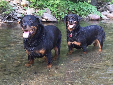 Xander and Layla 