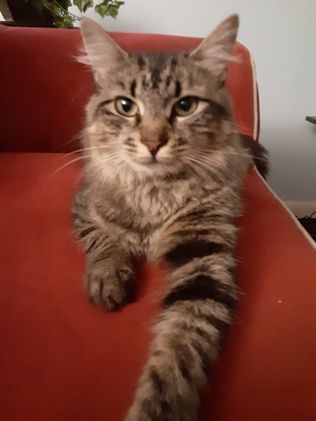 Nina