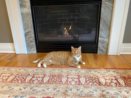 Maggie