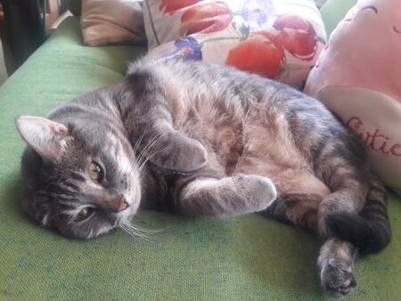 Baby