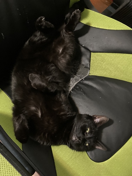 Nyx (FKA Trisha)