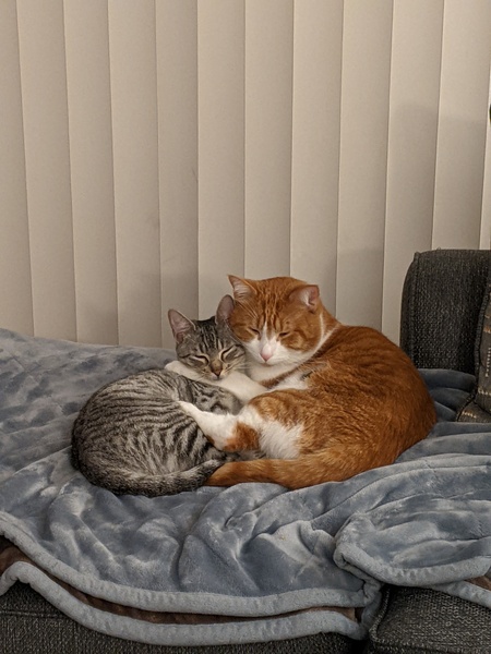 Whiskey and Thunder