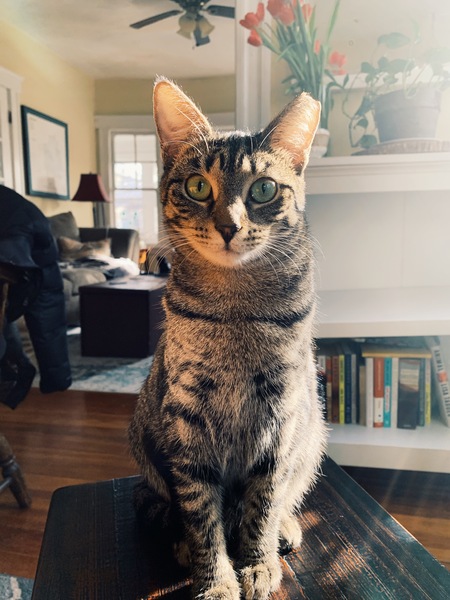 Francine