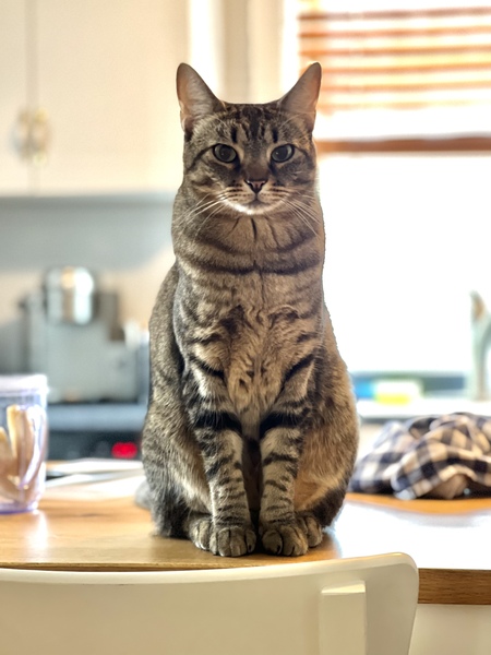 Leo