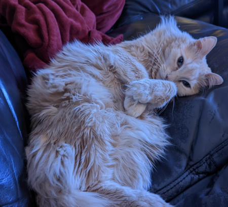 Zeus