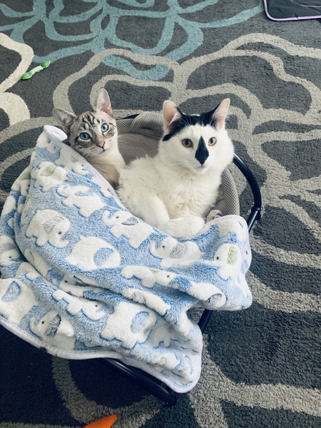 Casper and Leo